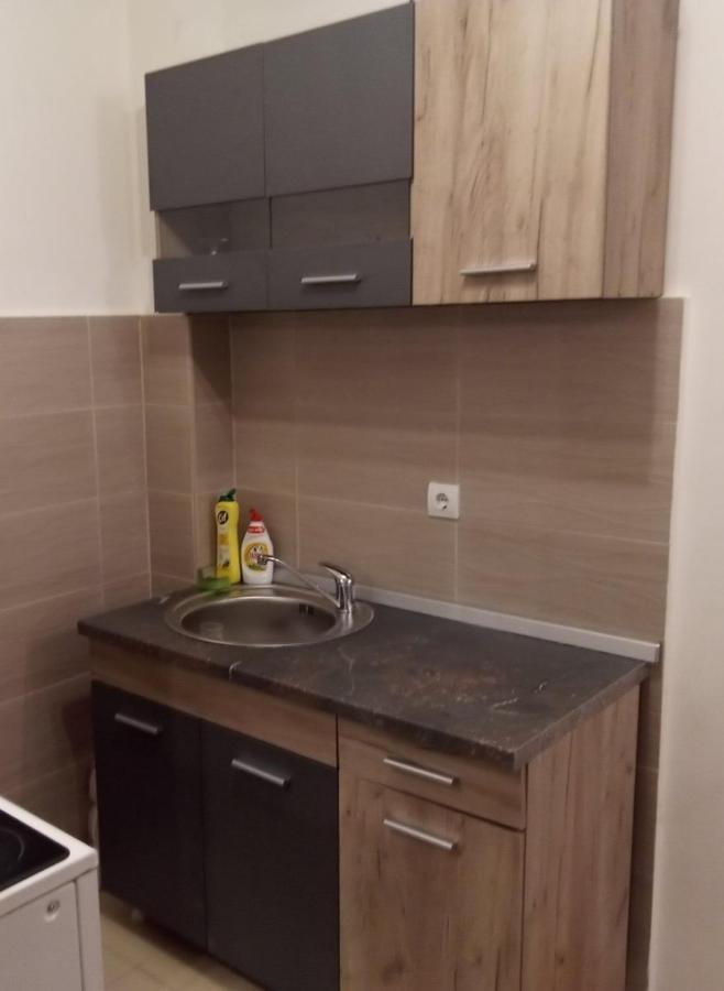 Lux Apartment Rose 2 60M2 Kragujevac Zewnętrze zdjęcie